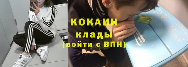 прущие грибы Арсеньев
