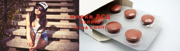 прущие грибы Арсеньев