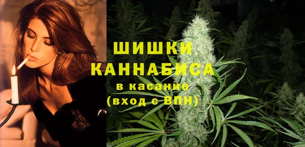 прущие грибы Арсеньев