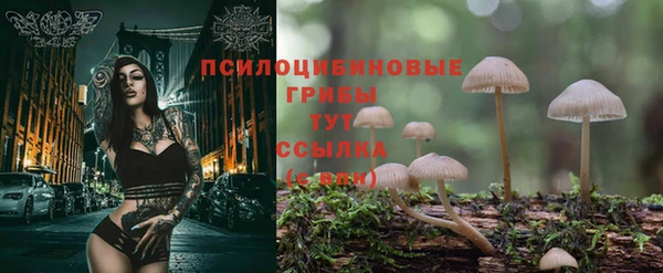 дурь Армянск